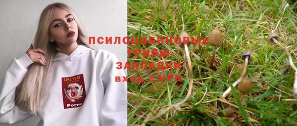 тгк Сатка